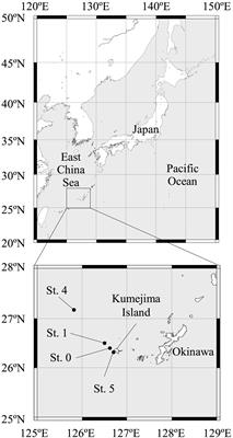 Nitrospina-Like Bacteria Are Potential Mercury Methylators in the Mesopelagic Zone in the East China Sea